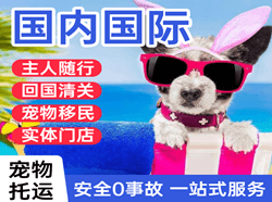 北京空运国际宠物托运 【国
